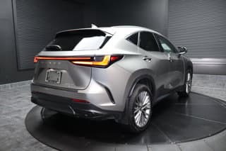 Lexus NX 350 4WD Sport Utility Vehicles 2025 — photo 3