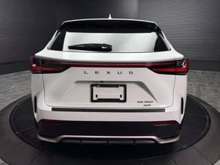 Lexus NX 350 4WD Sport Utility Vehicles 2024 — photo 4