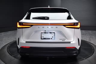 Lexus NX 250 4WD Sport Utility Vehicles 2025 — photo 5