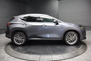 Lexus NX 350h 4WD Sport Utility Vehicles 2024 — photo 2