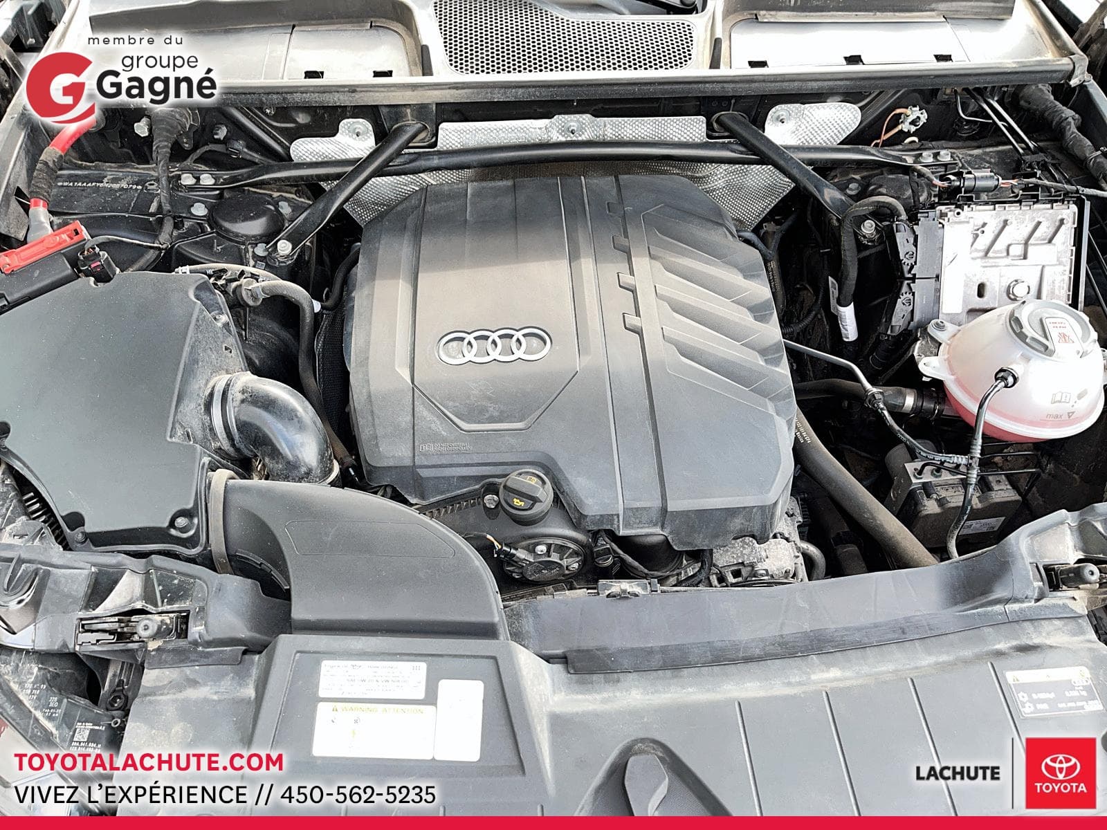 Audi Q5 2022 — photo 8