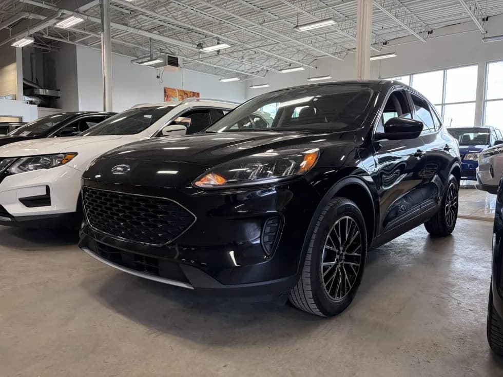 Ford Escape 2021 — photo 2