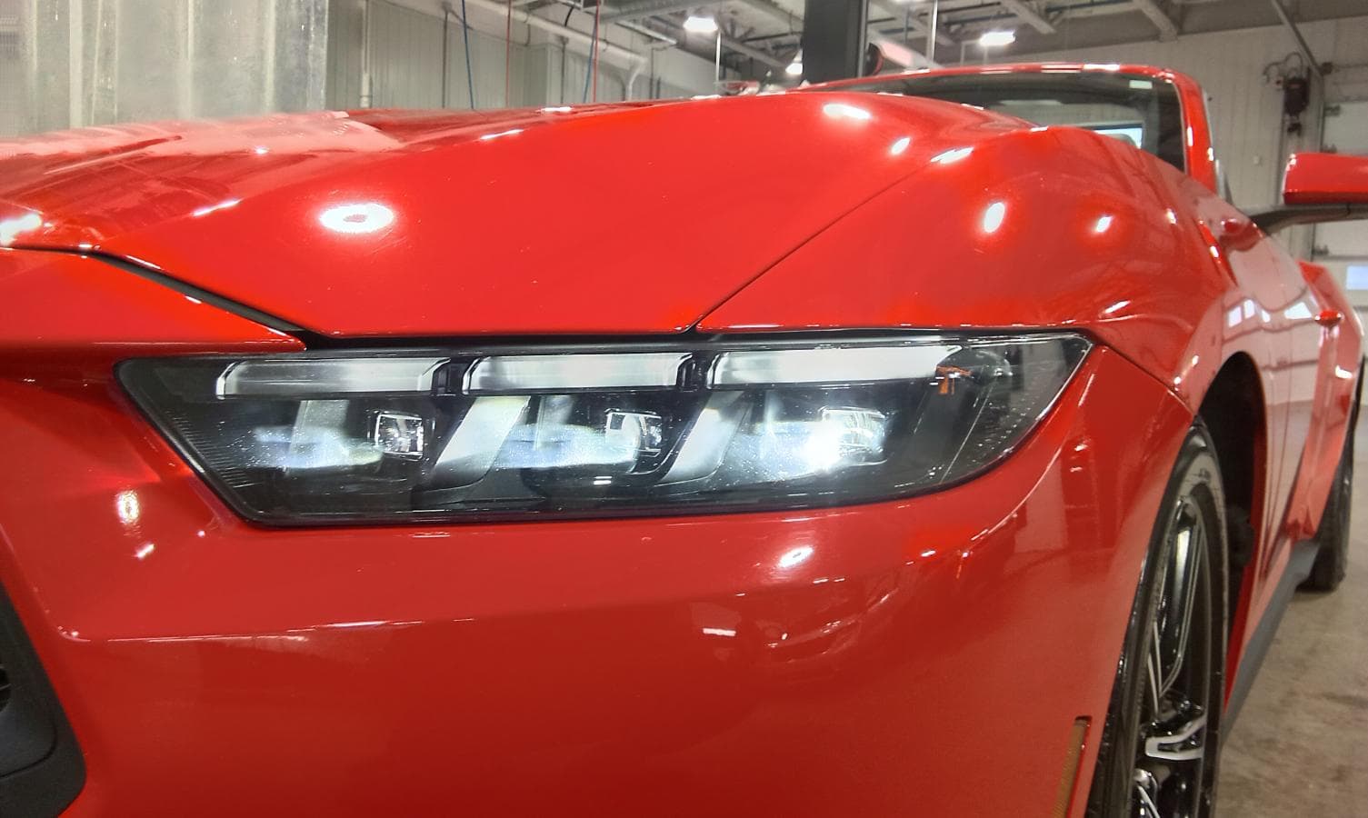 Ford Mustang 2025 — photo 13