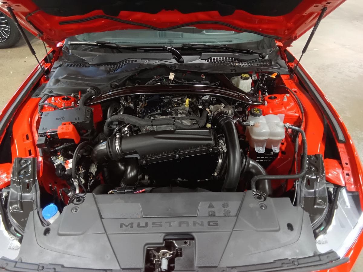 Ford Mustang 2025 — photo 8