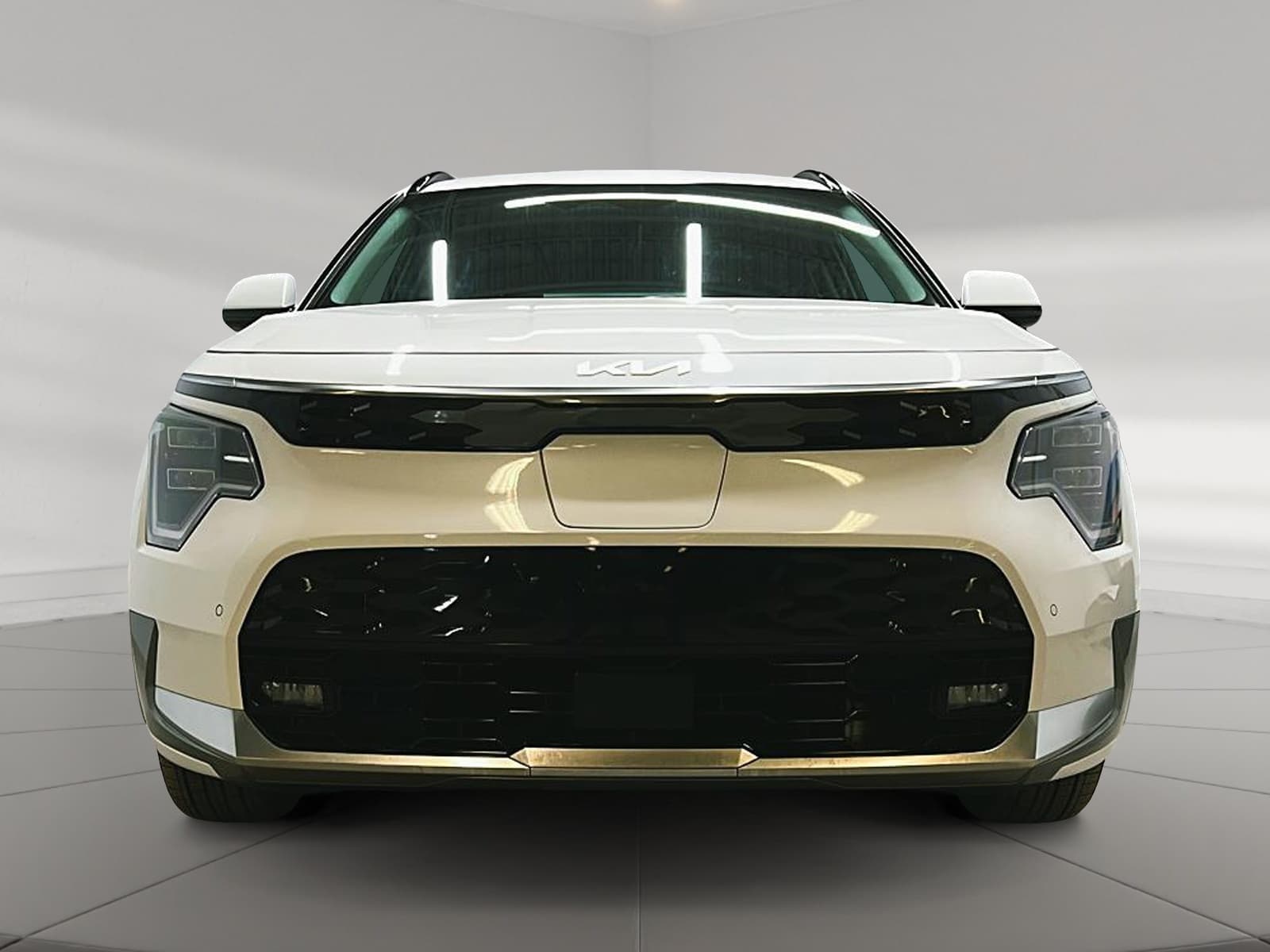 Kia Niro EV 2025 — photo 3