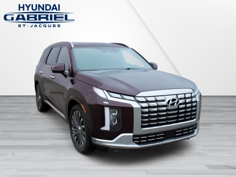 Hyundai Palisade 2024 — photo 3