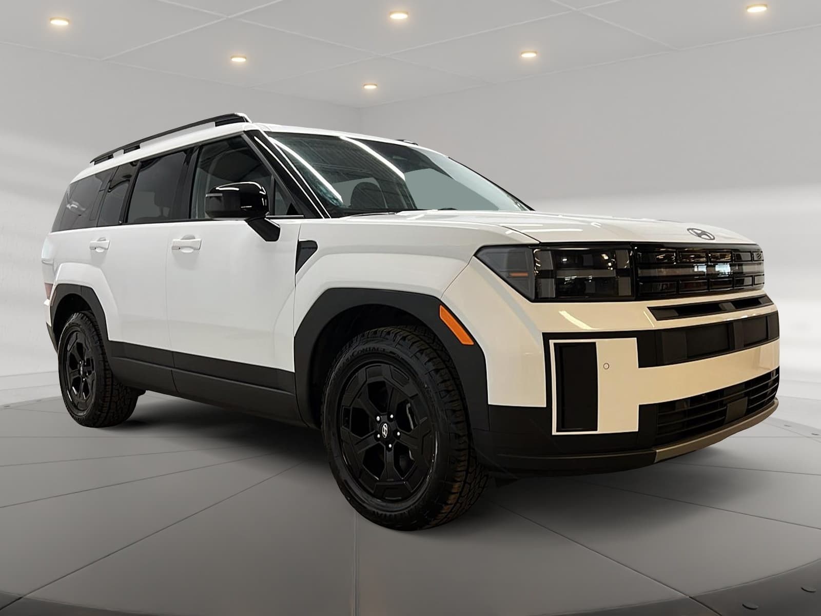 Hyundai Santa Fe 2025 — photo 4