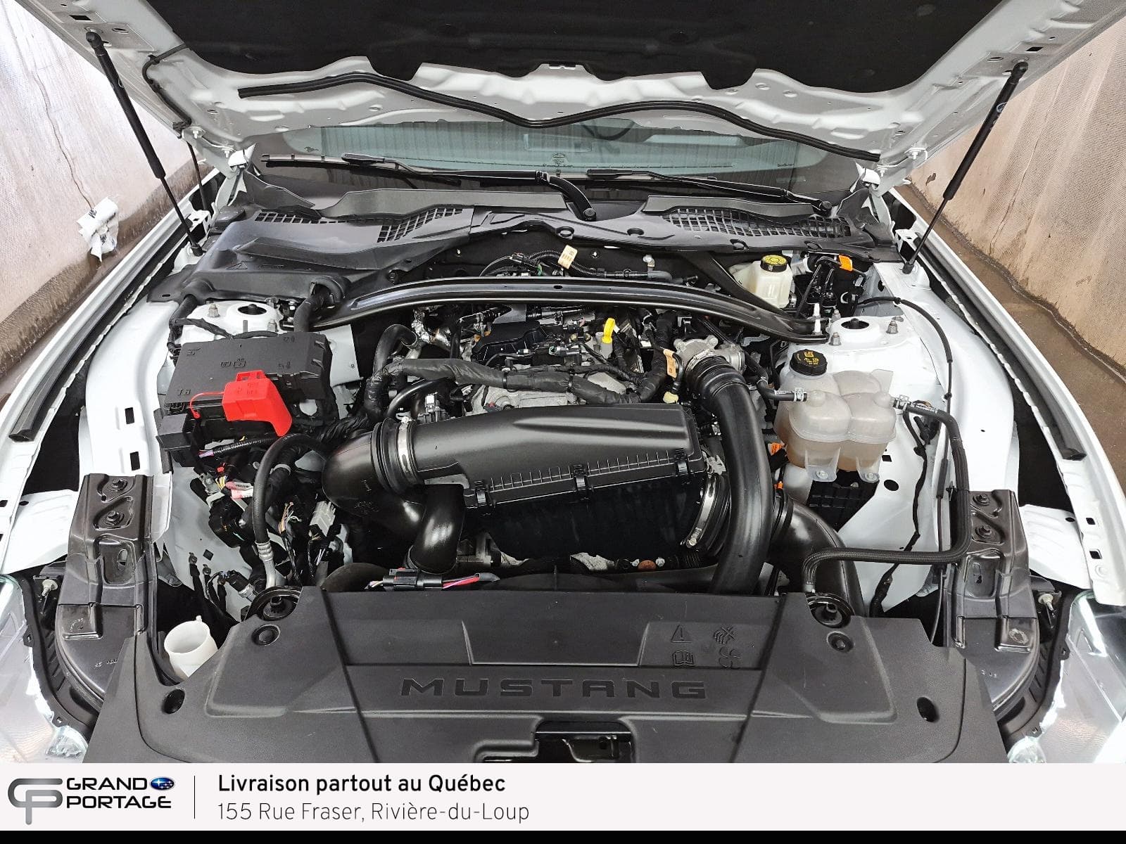 Ford Mustang 2025 — photo 8
