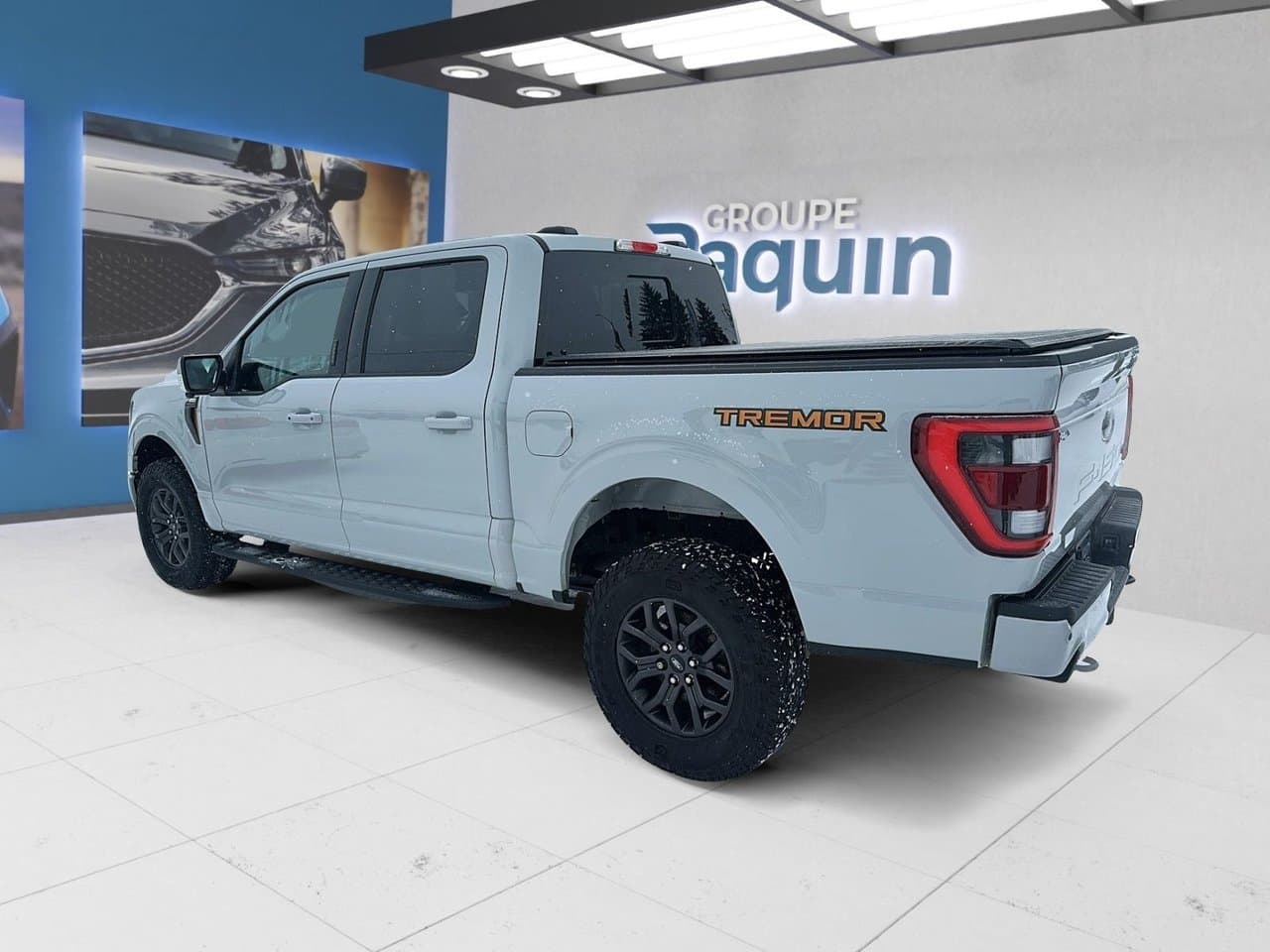 Ford F-150 2023 — photo 4