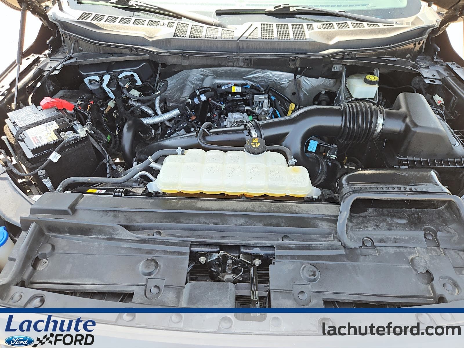 Ford F-150 2023 — photo 9