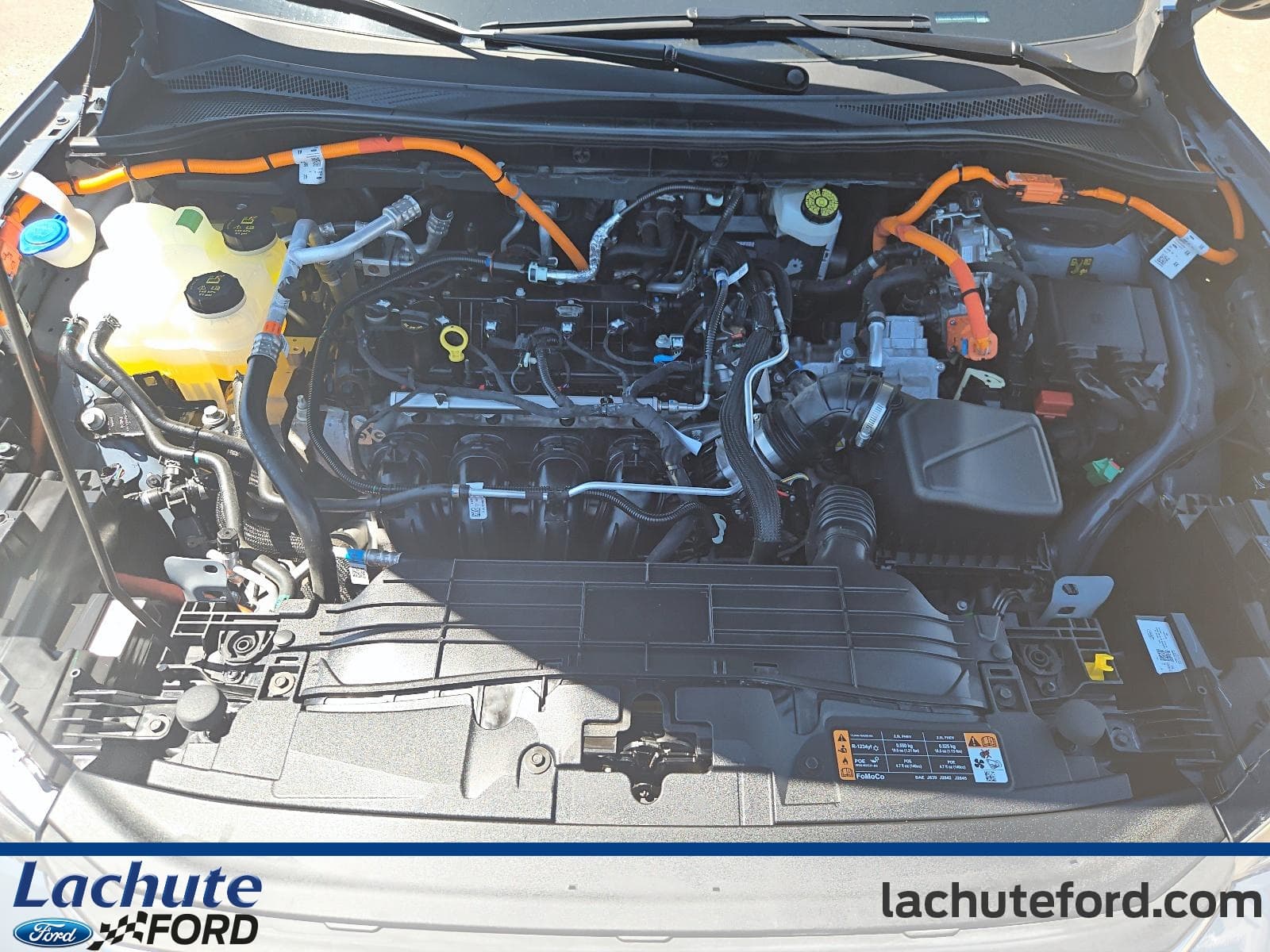 Ford Escape Hybrid 2024 — photo 10