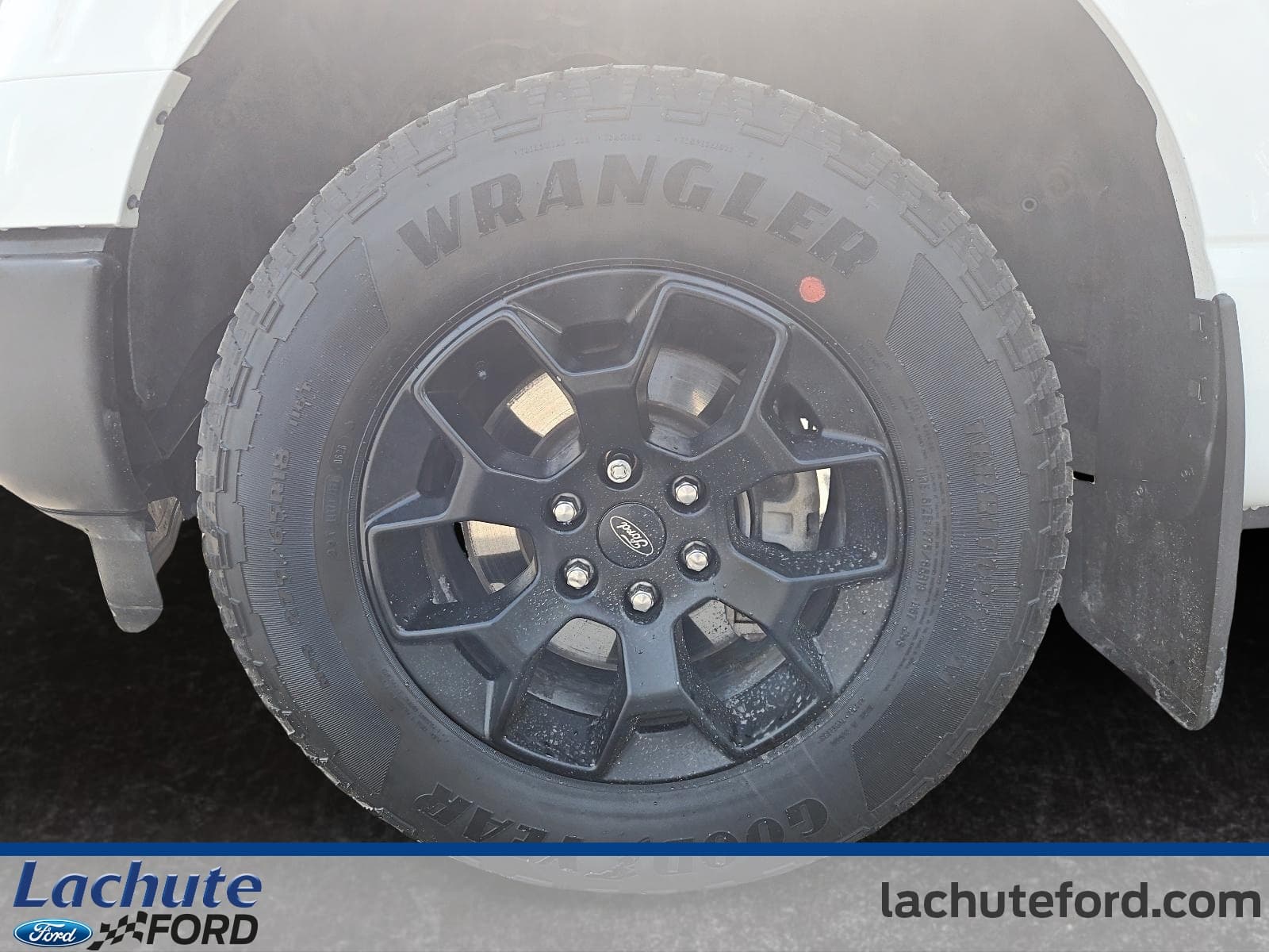 Ford F-150 2024 — photo 8