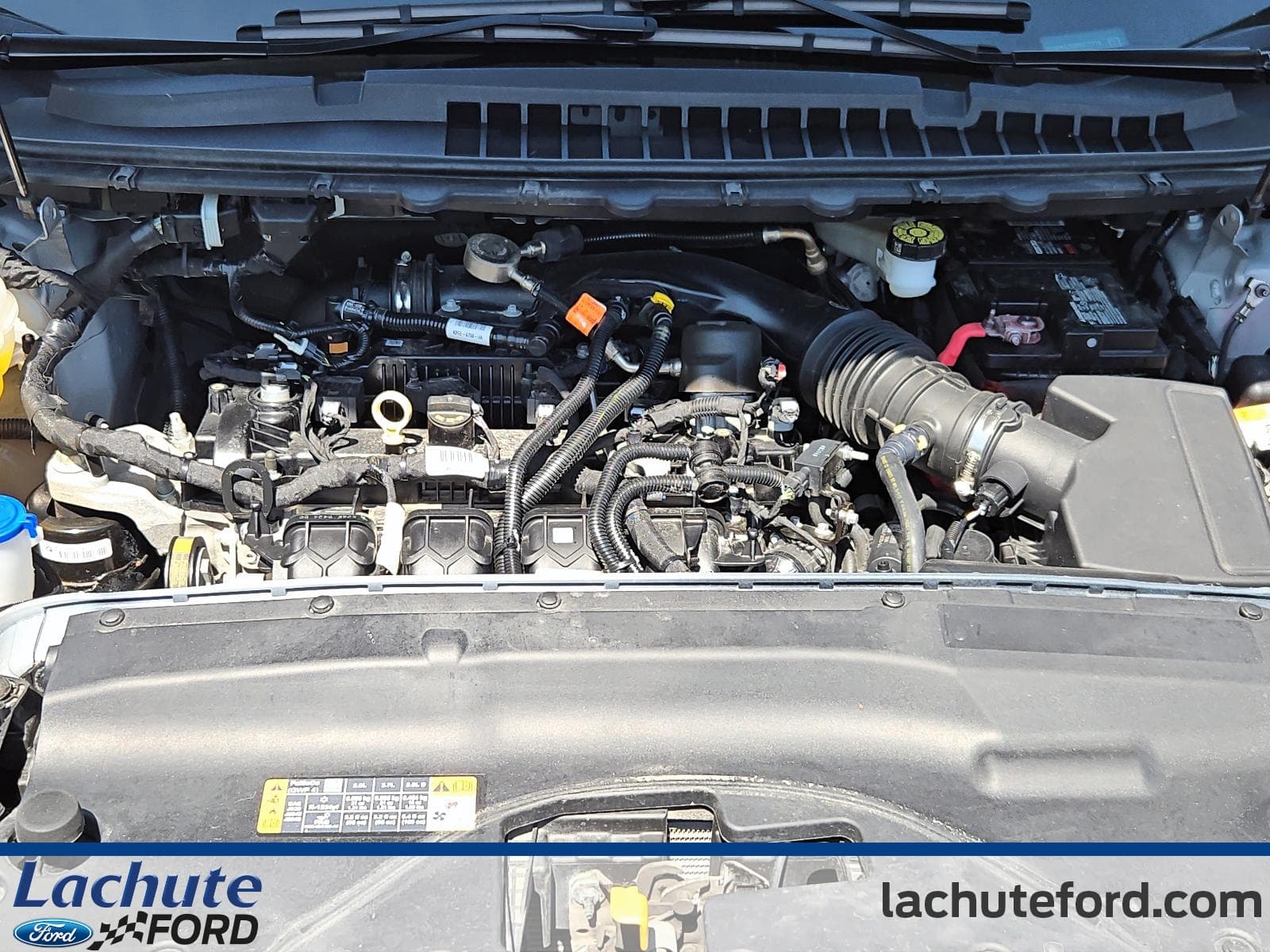 Ford Edge 2024 — photo 8