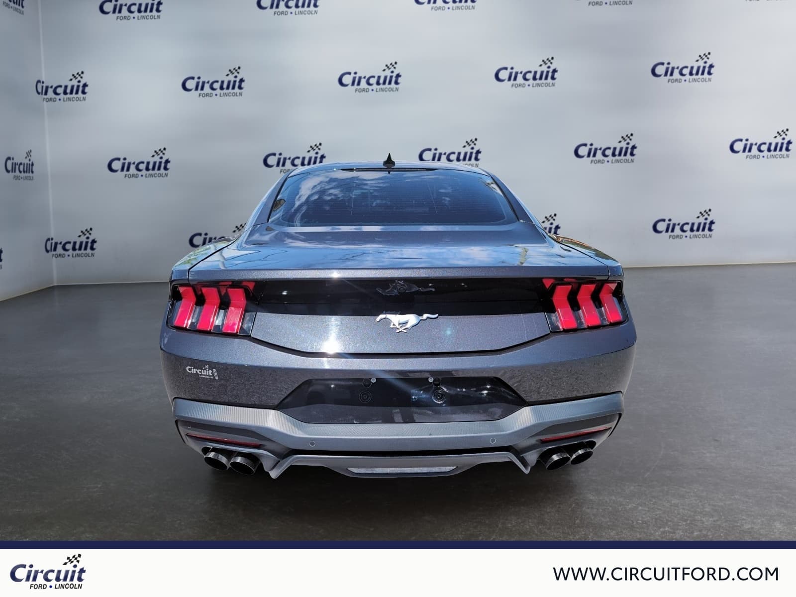 Ford Mustang 2024 — photo 4