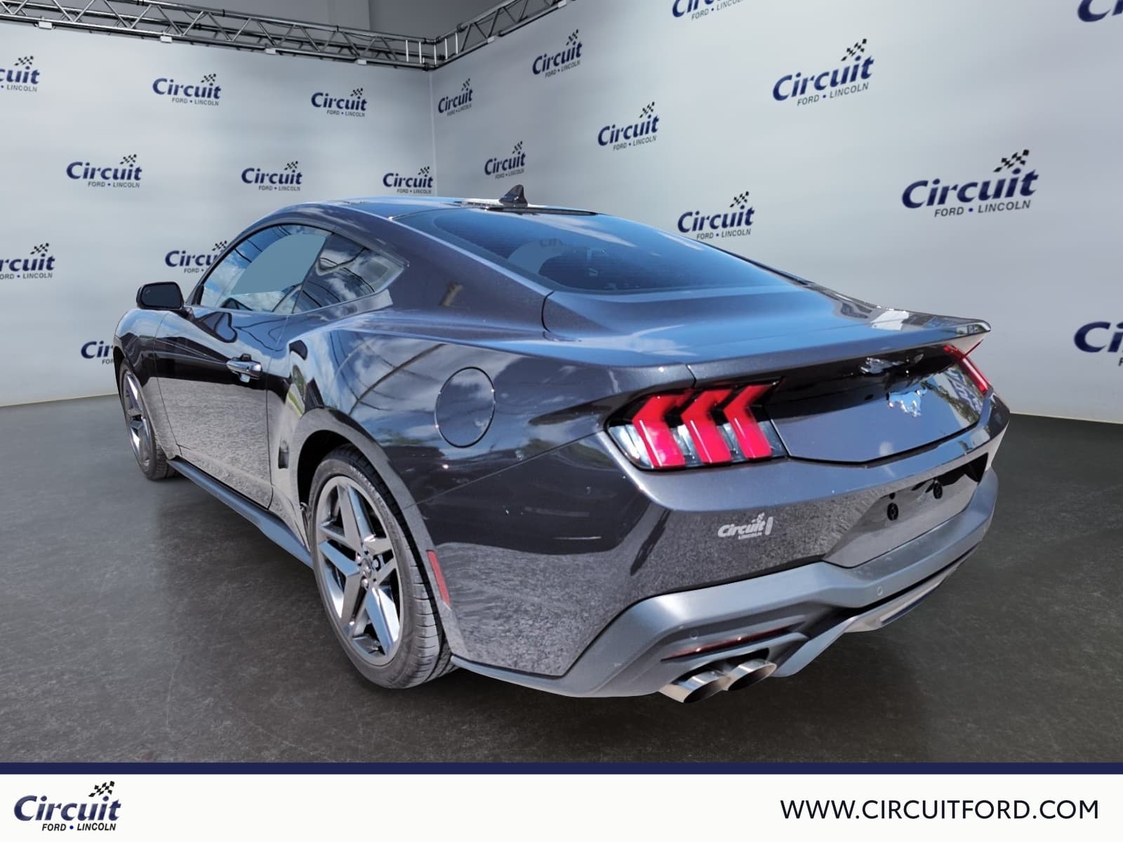 Ford Mustang 2024 — photo 5
