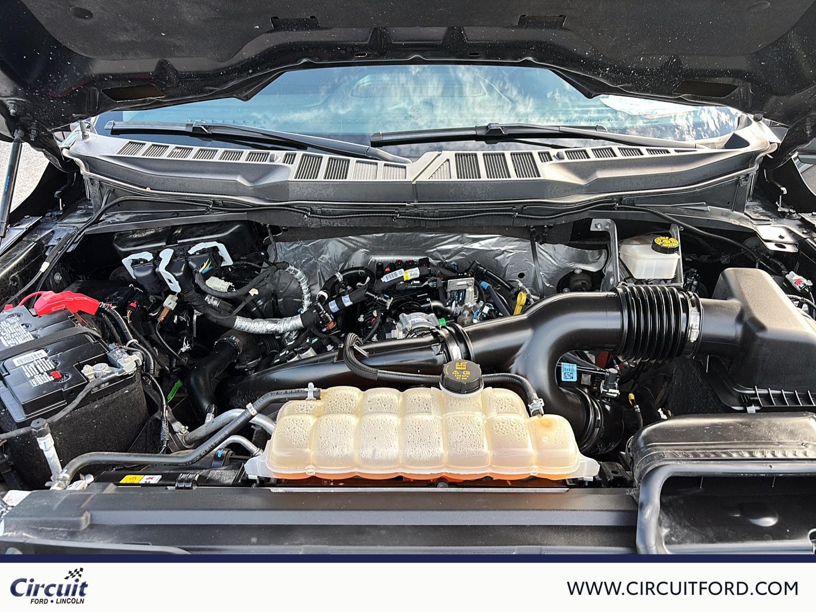 Ford F-150 2024 — photo 9