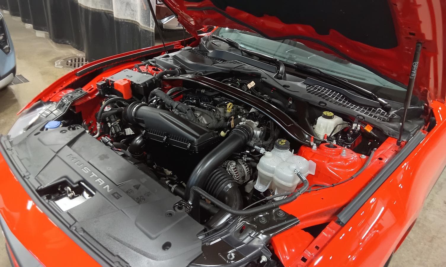 Ford Mustang ECOBOOST CONVERTIBLE *TURBO *BIZONE *CUIR *CAM&Eacute;RA *APPLE CAR PLAY/ANDROID AUTO 2025 — photo 12