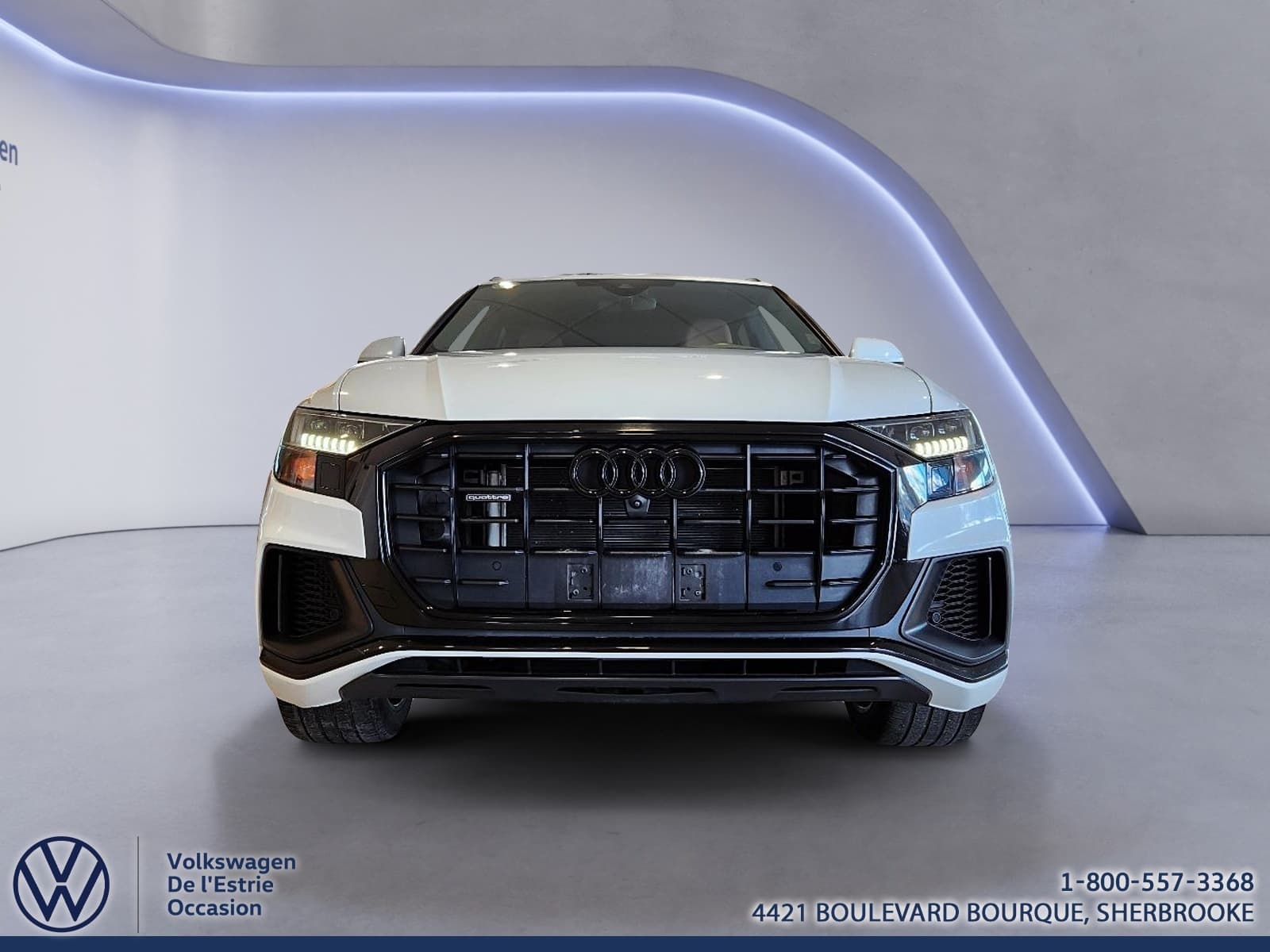 Audi Q8 2023 — photo 2