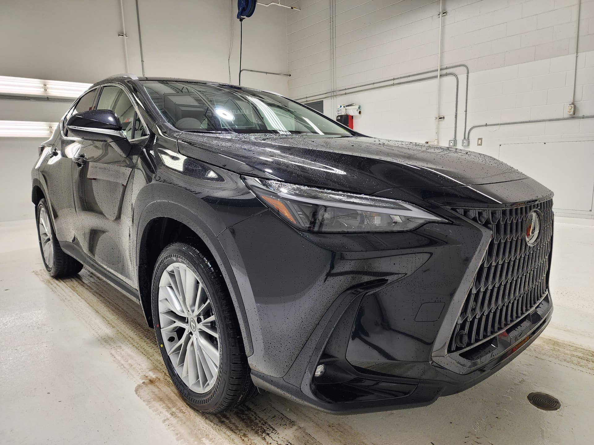 Lexus NX 350h 2025 — photo 3