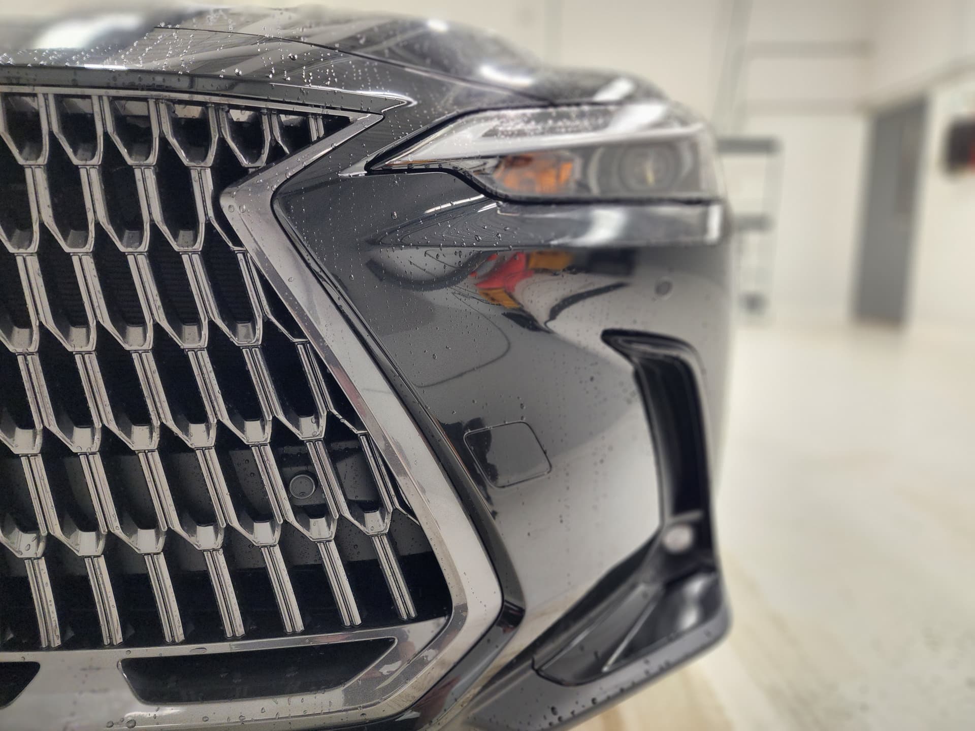 Lexus NX 350h 2025 — photo 5