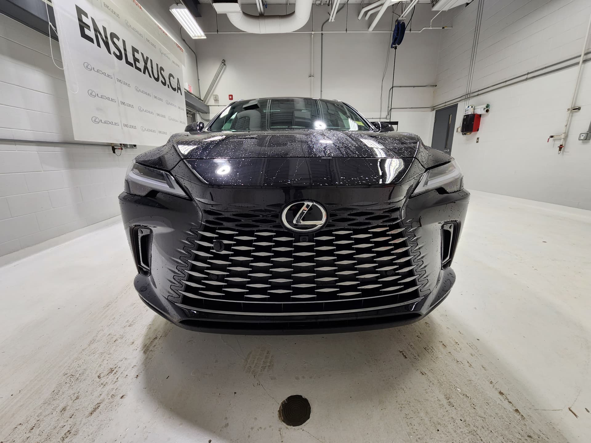 Lexus RX 350 Ultra Luxury 2024 — photo 3