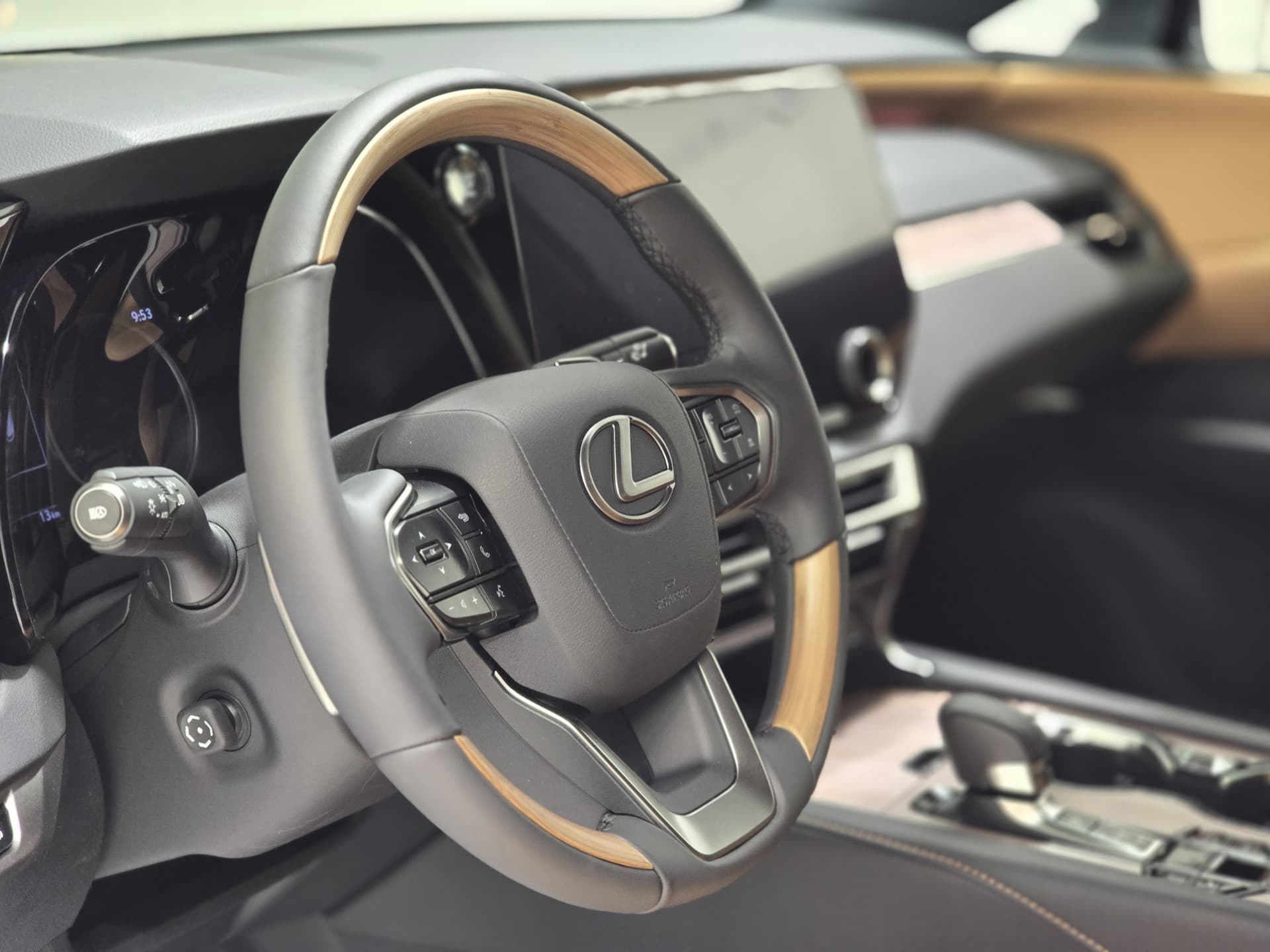 Lexus RX 350 Luxury 2023 — photo 12
