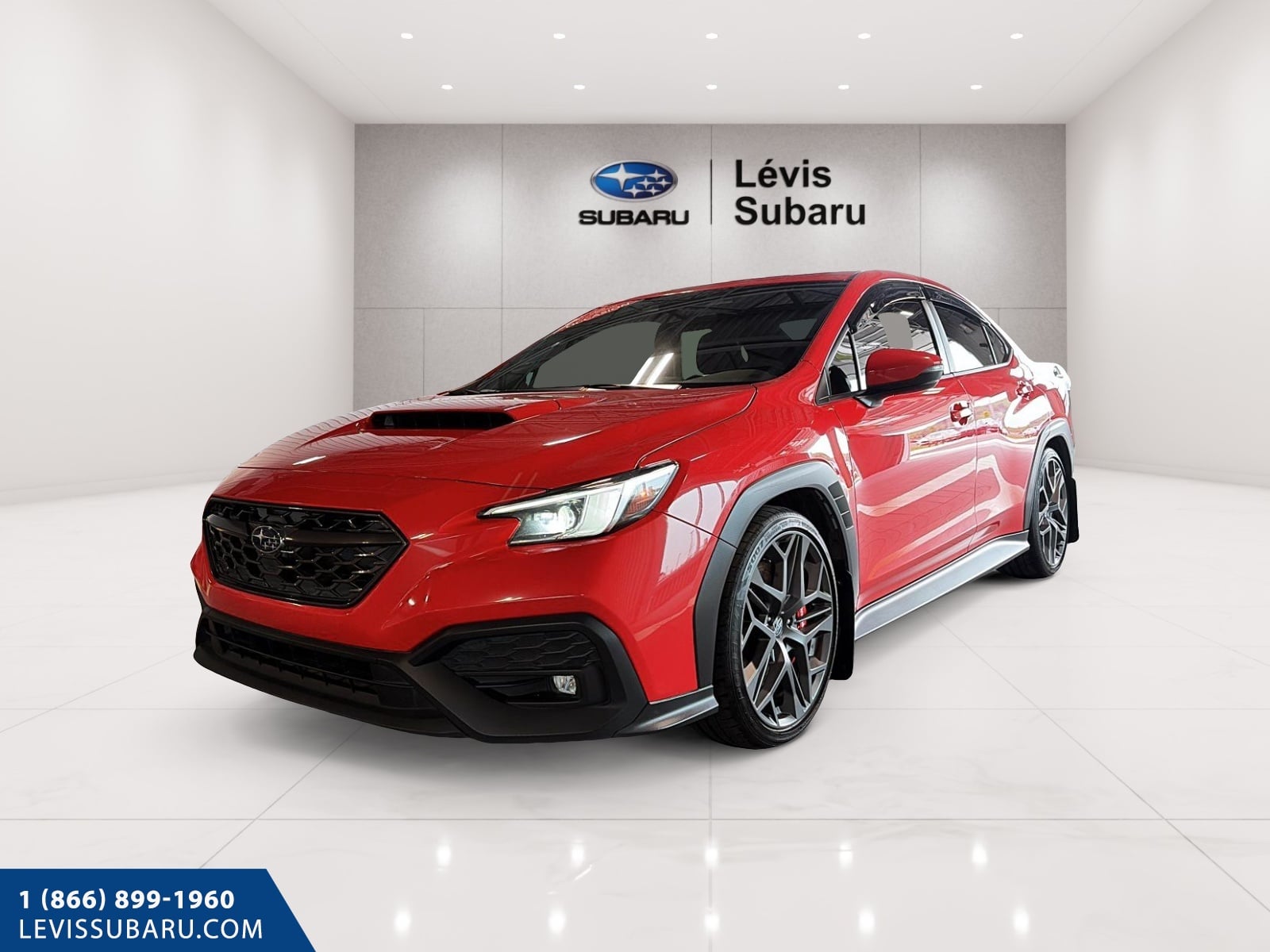Subaru WRX 2024 à vendre à Lévis